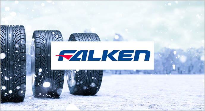 Falken Kaufen Preis