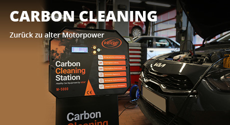 Motor Innenreinigung