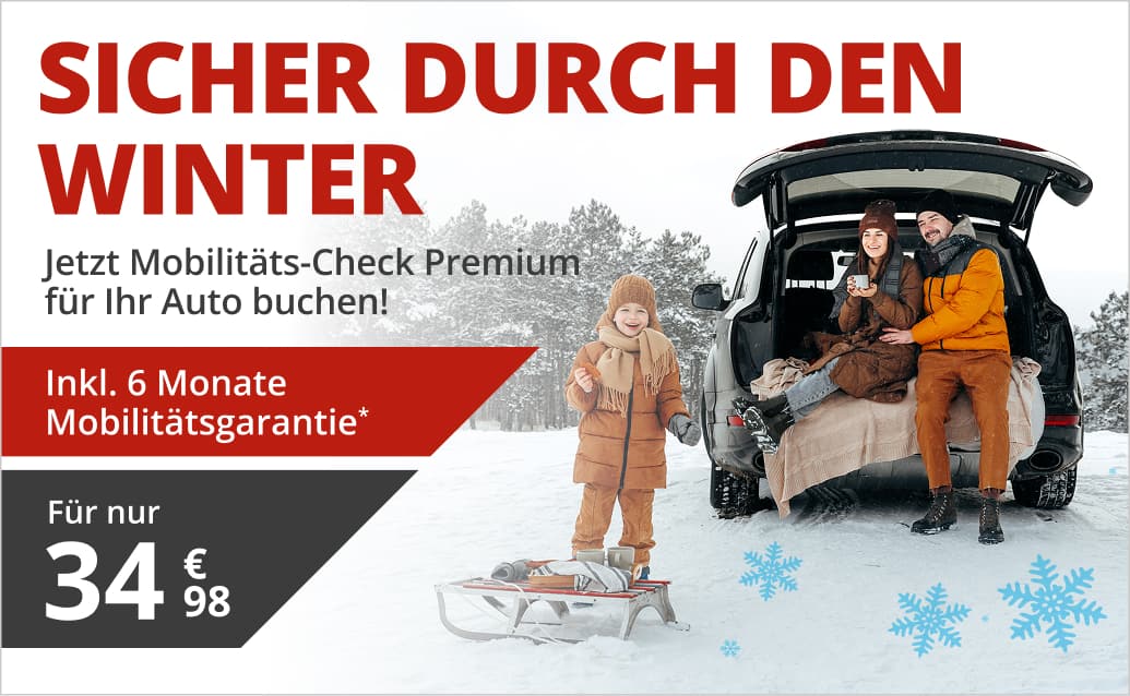 Mobilitäts-Check Premium