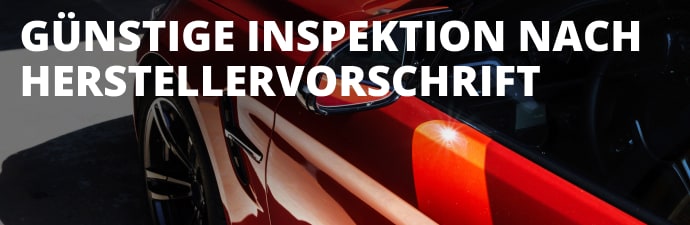Preiswerte Inspektion nach Herstellervorschrift