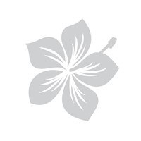 Aufkleber-Auto-Dekor-Hibiskus-Blume-in-Silber-selbstklebend-1-Bogen-mit-16-Stickern