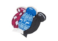 Kungs-Handschuh-Eiskratzer-Artic-Is-1-Stück