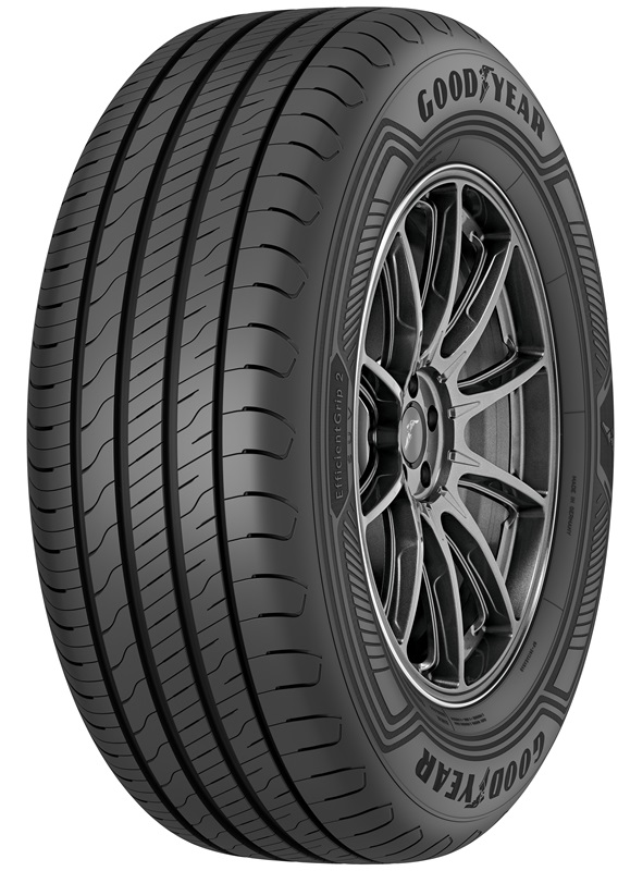 Goodyear EfficientGrip 2 SUV 225/65 R17 102H Sommerreifen